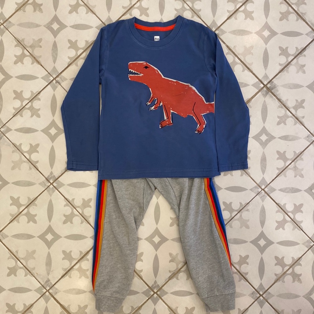 🦖 Tea Collection Long-sleeved Top and Pant Set